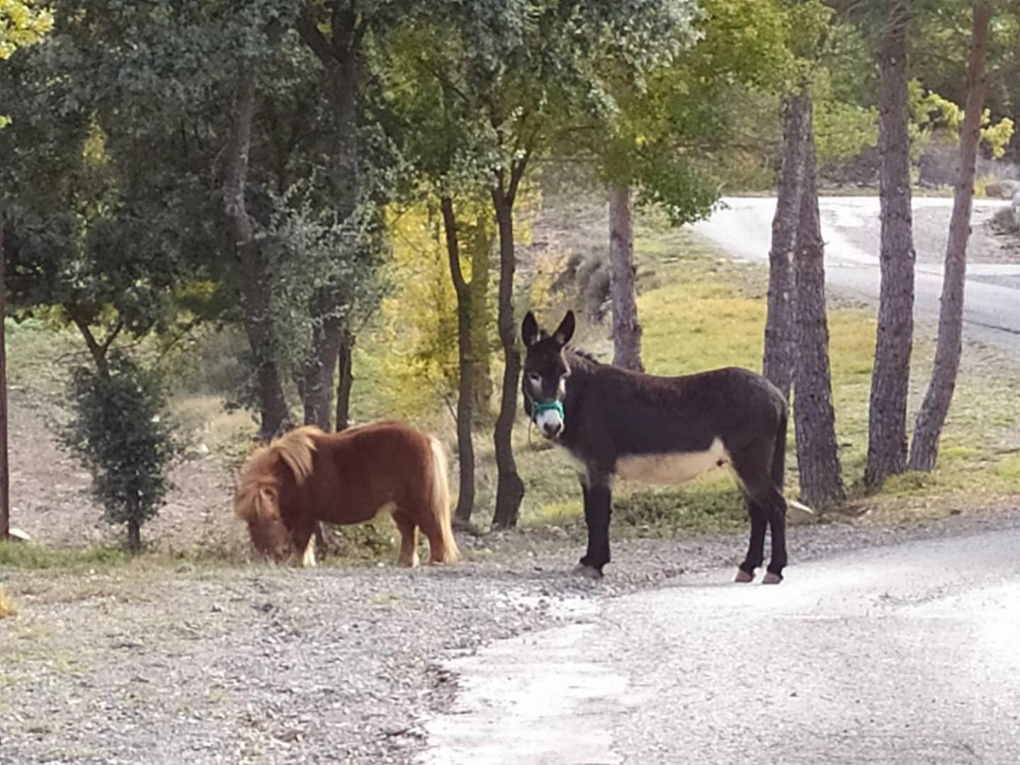 Camping Casa Fausto Cerca De Dinopolis Formiche Alto Kültér fotó